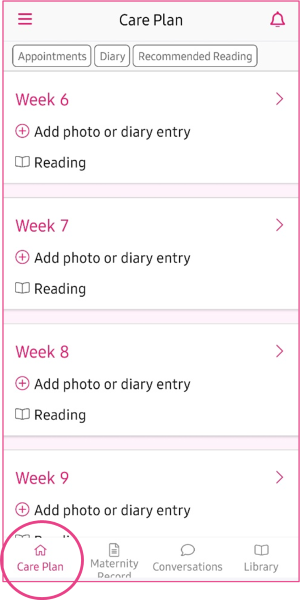 Screenshot of Badger Notes app with Care Plan circled