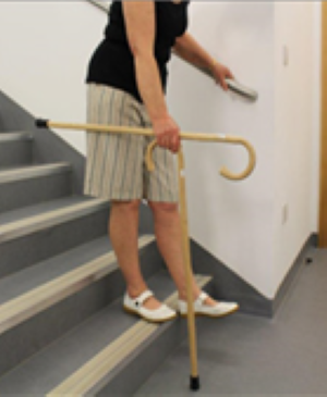 Person going stairs with 2 walking sticks