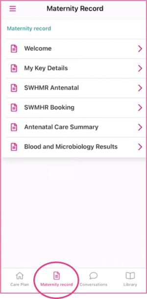 Screenshot of Badger Notes app with Maternity record option circled