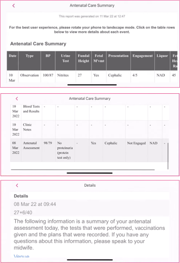 Screenshot of Badger Notes Maternity record pages