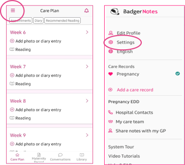 Screenshot of Badger Notes app with menu and settings circled