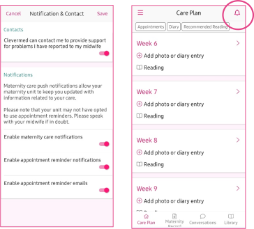 Screenshot of Badger Notes app with care plan and notifications icon circled