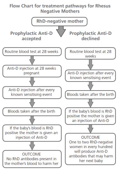 Rhd Negative And Care In Pregnancy North Bristol Nhs Trust