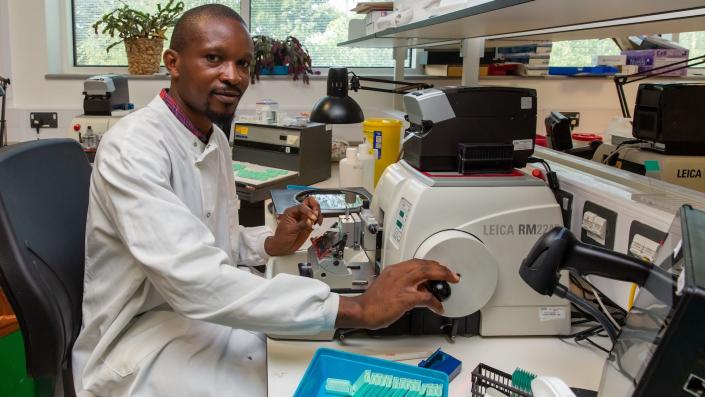 Pathology doctor using a equipment